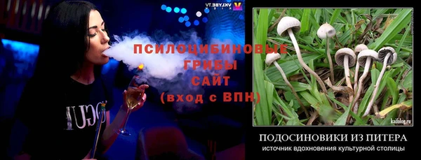 ПСИЛОЦИБИНОВЫЕ ГРИБЫ Володарск