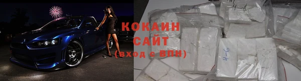 стаф Верея
